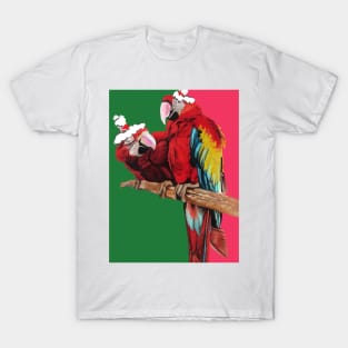 Christmas Macaw - Here Comes Santa Macaws! - on Red and Green T-Shirt